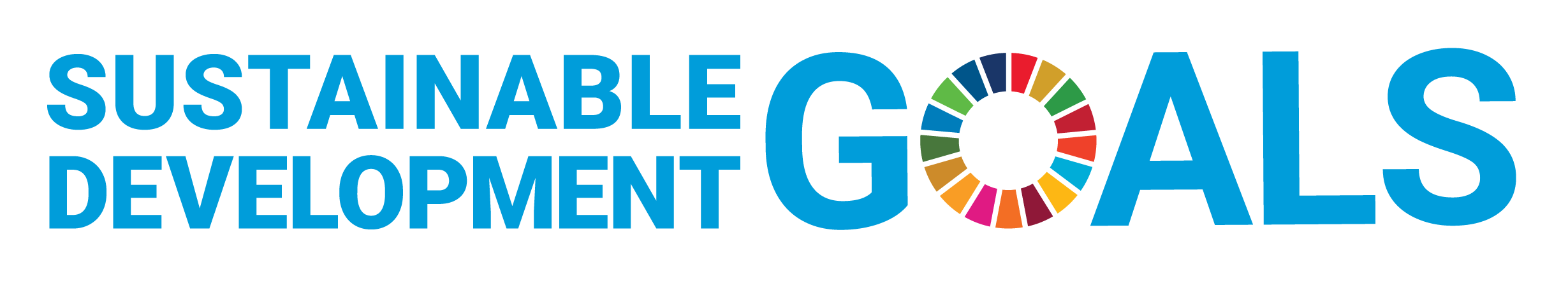 E_SDG_logo_horizontal_Transparent_WEB
