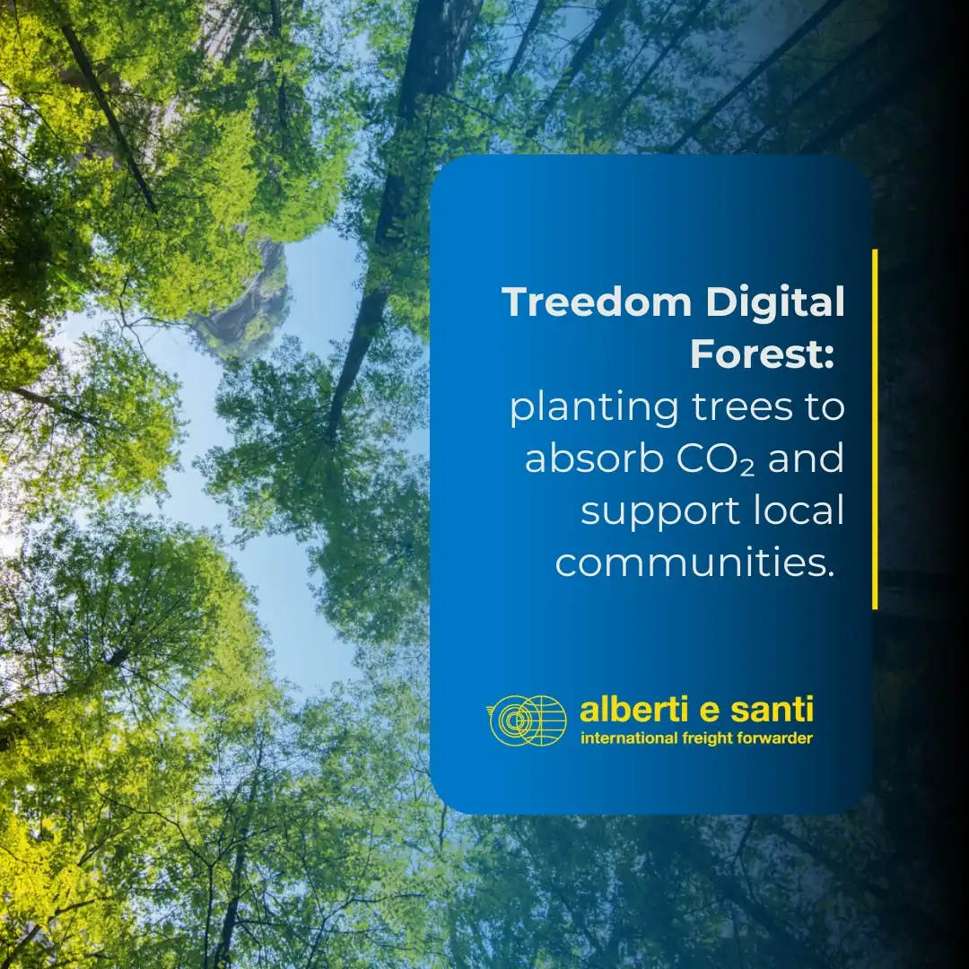 Progetto treedom